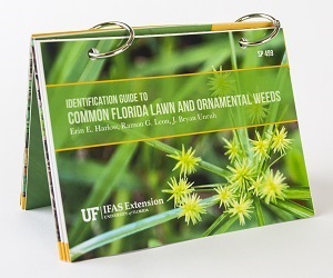 Identification Guide to Common Florida Lawn and Ornamental Weeds